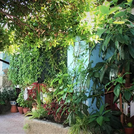 25 De Abril Homestay Santa Cruz de la Sierra