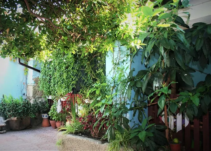 25 De Abril Homestay szállás Santa Cruz de la Sierra