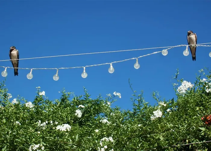 25 De Abril Homestay szállás *